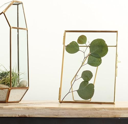 Miniatura 8 de Koyal Wholesale Marcos de fotos flotantes de vidrio prensado de 5 x 7 pulgadas, color dorado, paquete de 8 con soportes para uso horizontal o