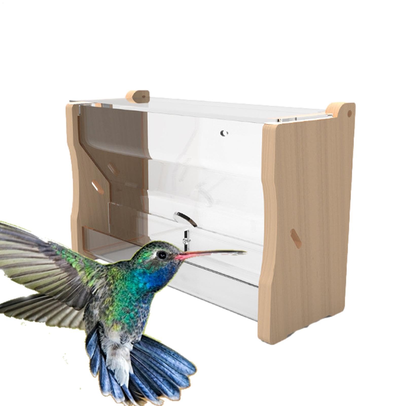 No Waste Quail Feeder,Duck Water Feeder Distributeur d'eau pour Oiseaux, | Mangeoire à poulet Distributeur d'eau d'