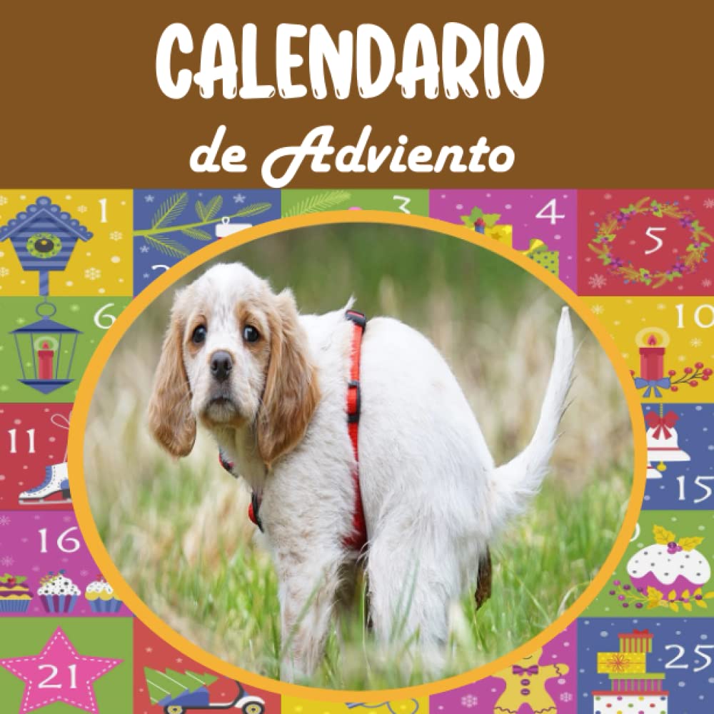 Calendario Adviento Perros VER PRECIOS Comprar Online Marzo 2023  calendario-adviento-perros-ver-precios-comprar-online-marzo-2023