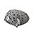 Squishmallows Original Stackables 12-Inch Grey Spotted Seal with White Belly - Medium-Sized Ultrasoft Official Jazwares Plush