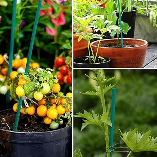 Pack of 50 Green Flower Sticks Bamboo Split Canes Plant Support Stakes (24" - 60cm Long) - Image 3