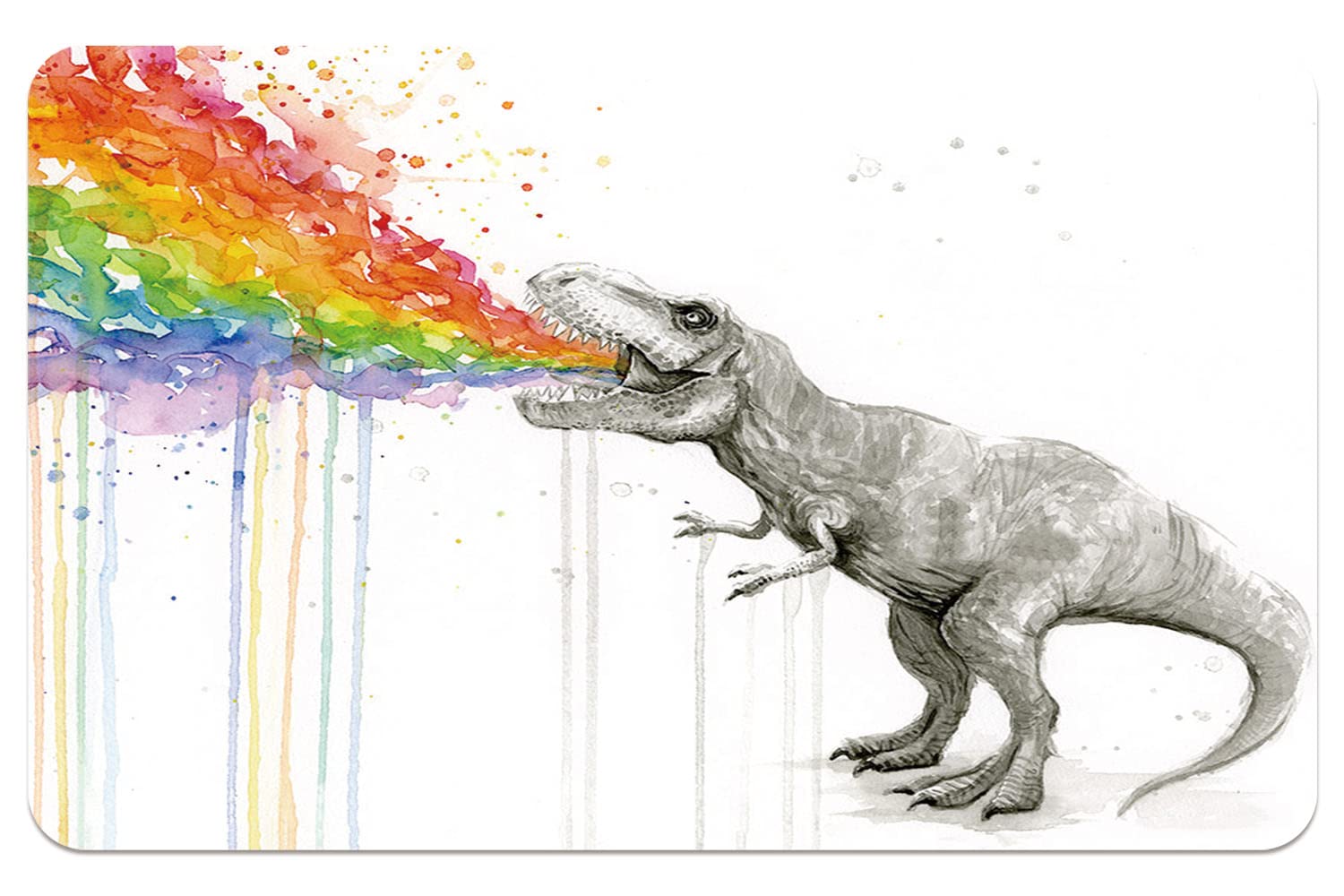 Watercolor Dinosaur Spray Rainbow Quick Dry Super Absorbent Bath Mat Doormat Diatomite Mud Floor Mat Non Slip Rubber Bath Floor Rugs Washable Shower Rug for in Front of Bathtu（50cm×80cm）