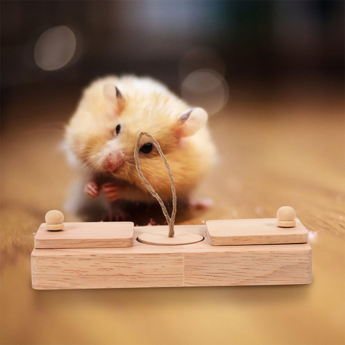 GALPADA 2 Stück Hamsterspielzeug Kompaktes Futtersuchspielzeug für Zwerghamster Fördert Spaß und Bewegung und Erkunden im Käfig