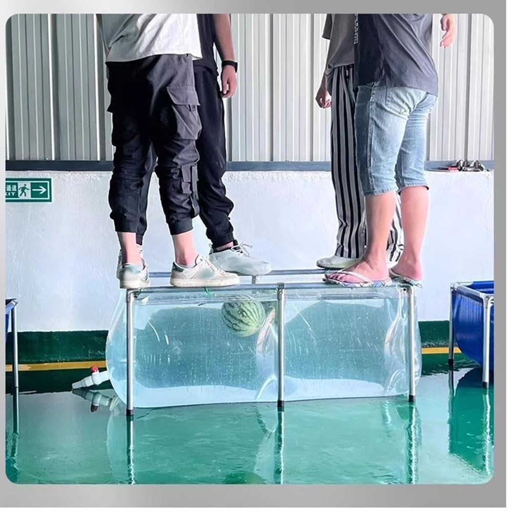 池　移動式　水タンク　農業　メダカ　水槽　プール Amazon.co.jp: 水槽用プール 池 大型繁殖用タンク 1.3mm厚のPVC透明