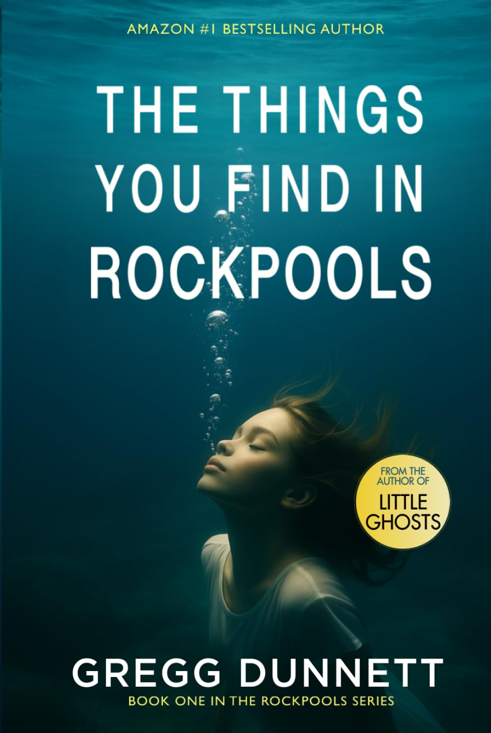 The Things you find in Rockpools: A psychological Mystery and Suspense Thriller