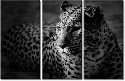 Miniatura 61 de 3 paneles de imágenes retro de cámara antigua, arte de pared sobre lienzo, pintura moderna para el hogar, decoración de pared, sala de estar, Obras