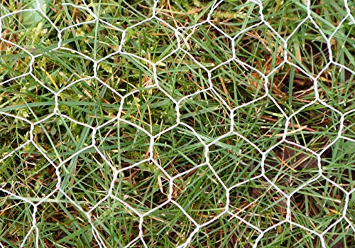 KrapTrap® Sechseckgeflecht unverzinkt 25x1m Drahtgeflecht roh Wühlmausdraht Cover