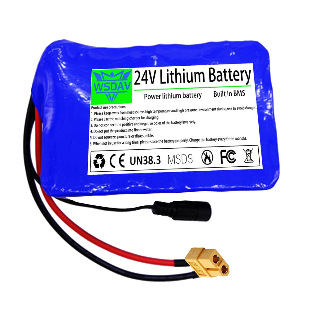 24-V-Lithium-Akku (24 V, 2 Ah, 4 Ah, 6 Ah, 8 Ah, 10 Ah, 12 Ah) als Ersatzakku mit BMS-Schutzplatine und Ladegerät