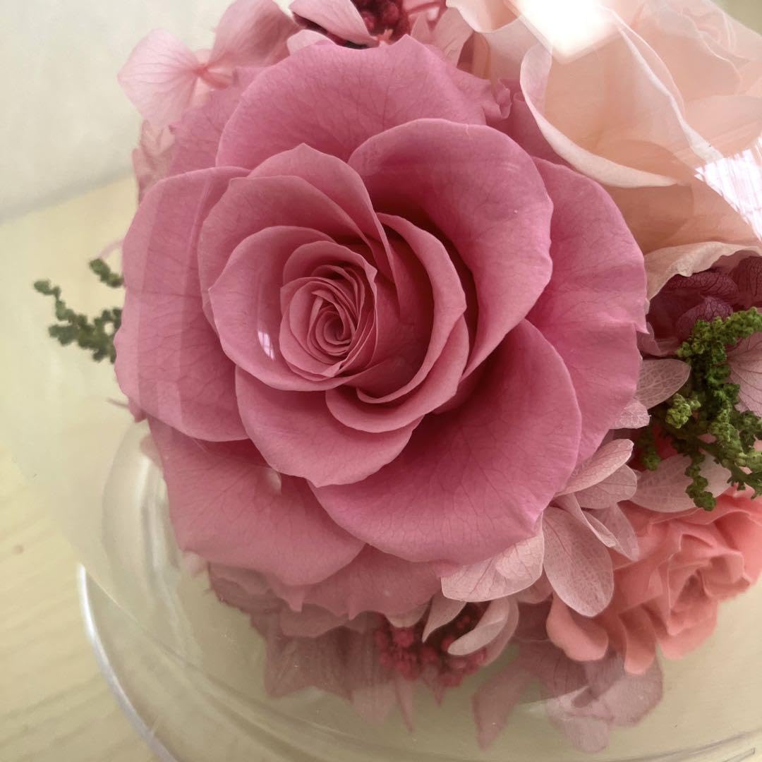 Belles Fleurs プリザーブドフラワー ガラスドーム プリザーブドフラワー ガラスドームL