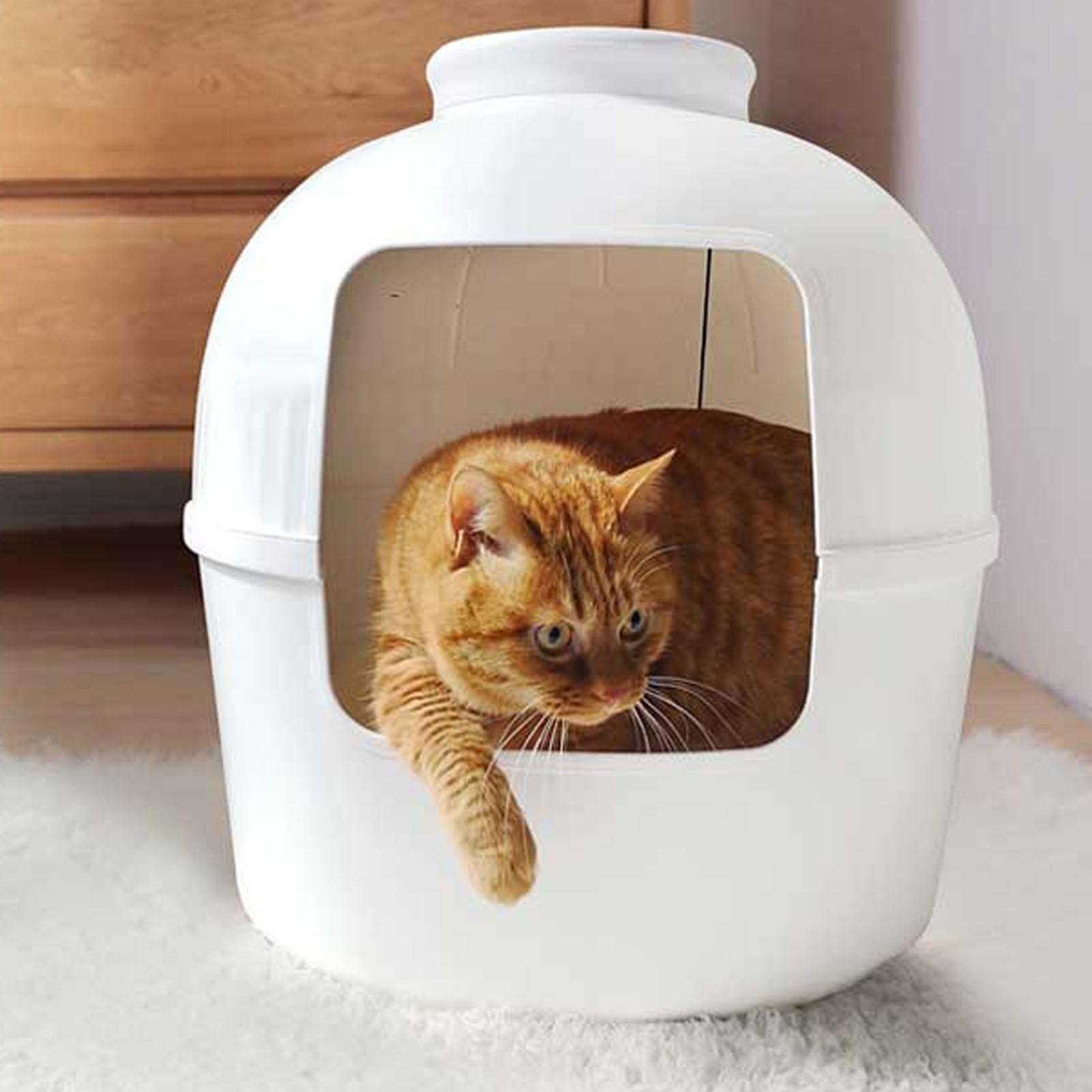 Bac à Litière pour Chat, Bac à Litière caché, Espace de sécurité fermé, Matériau PP, Bac à Litière caché pour Chat, Meubles pour la Décoration de la Maison, Intérieur Spacieux