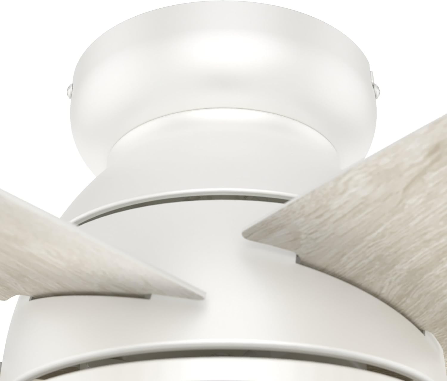 Hunter Fan 44 inch Low Profile White Indoor Ceiling Fan with LED Light and Pull Chain, Holiday Gifts for Bedroom, Living Room/Family Room, Dining Room, Kitchen, Office (Renewed)