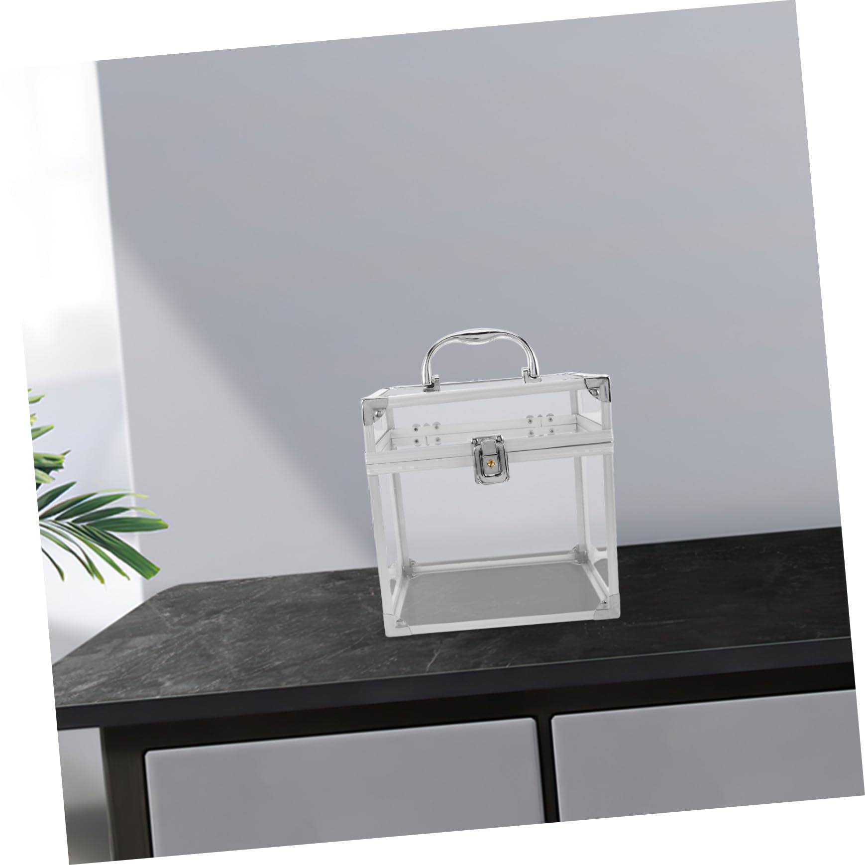 Ciieeo Organizer da Scrivania Protegge Dalla Polvere Elegante e Capiente in Acrilico Scatola Porta Vinili con Maniglia per Dischi e Cd per Spazi Ricreativi e Camera da Letto