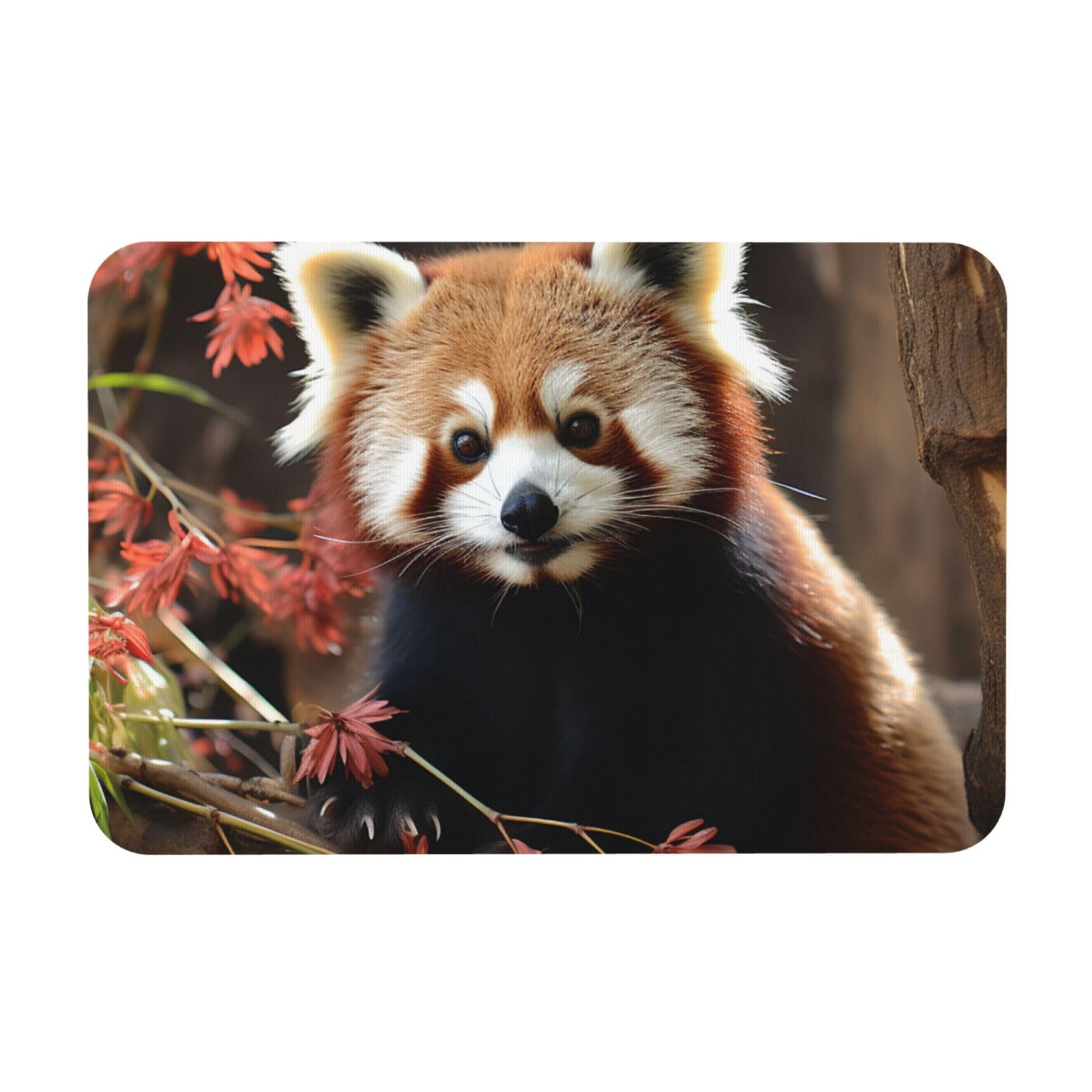 Tapis de bain en pierre diatomée 60x40 cm motif pandas