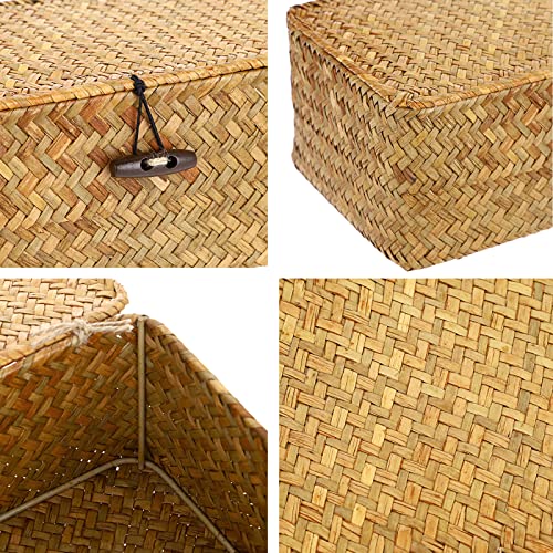 Hipiwe Wicker Shelf Baskets Bin With Lid, Handwoven Seagrass Basket Storage Bins Rectangular Household Basket Boxes For Shelf Wardrobe Home Organizer, Caramel Large #TOP2