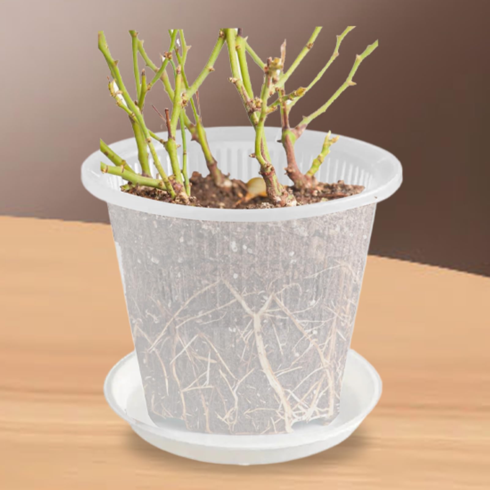 Transparent Plant Planter, Orchid Pots With Holes And Saucers Nursery Pots For Plants, Slotted Orchids Planter For Root Health, For Home Garden Living Room Kitchen Patio.