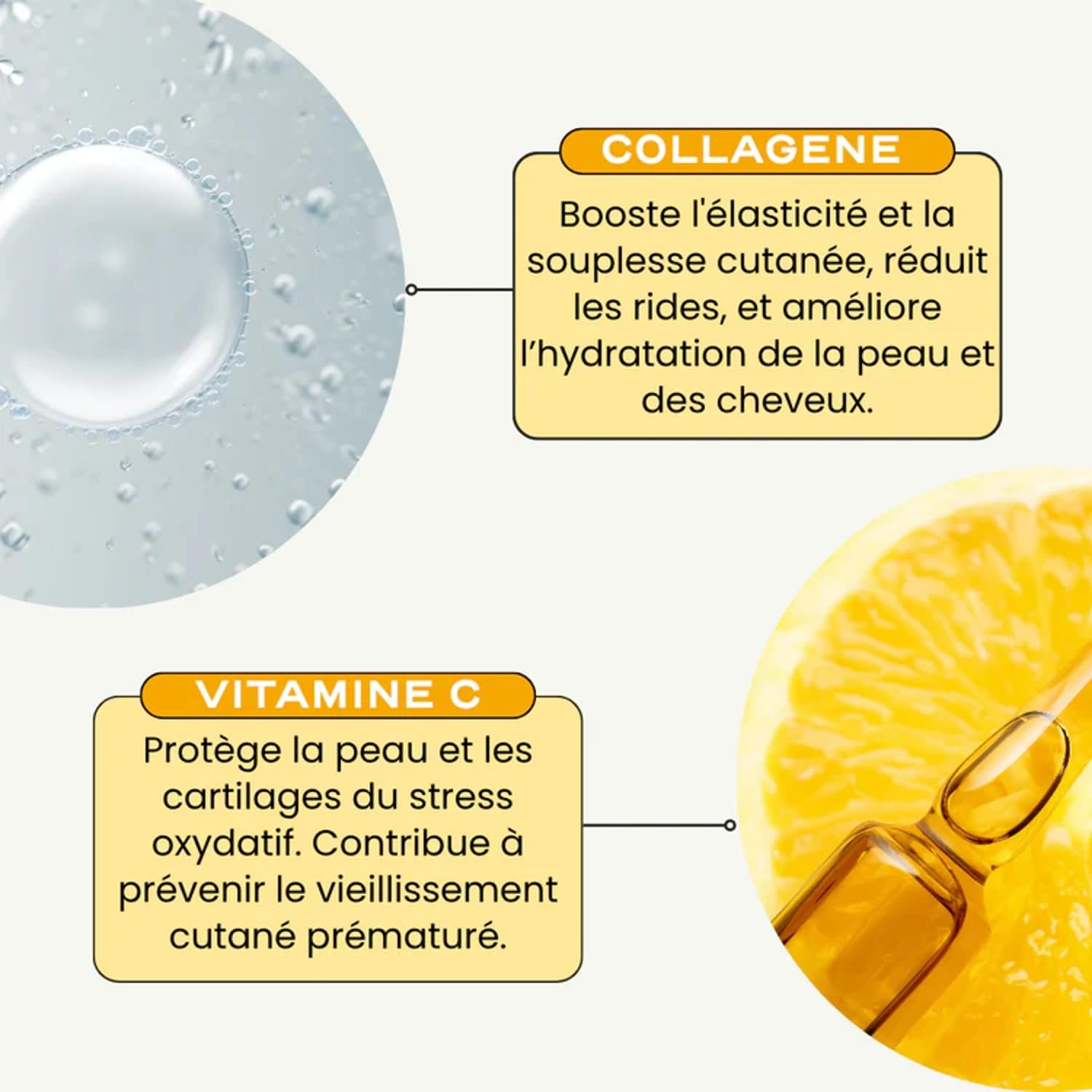 Circles COLLAGEN ESSENTIAL, Régénération & Élasticité de la peau, Poudre de collagène marin avec vitamine C pour régénération cutanée, élasticité et hydratation, soutien articulaire, 300 g
