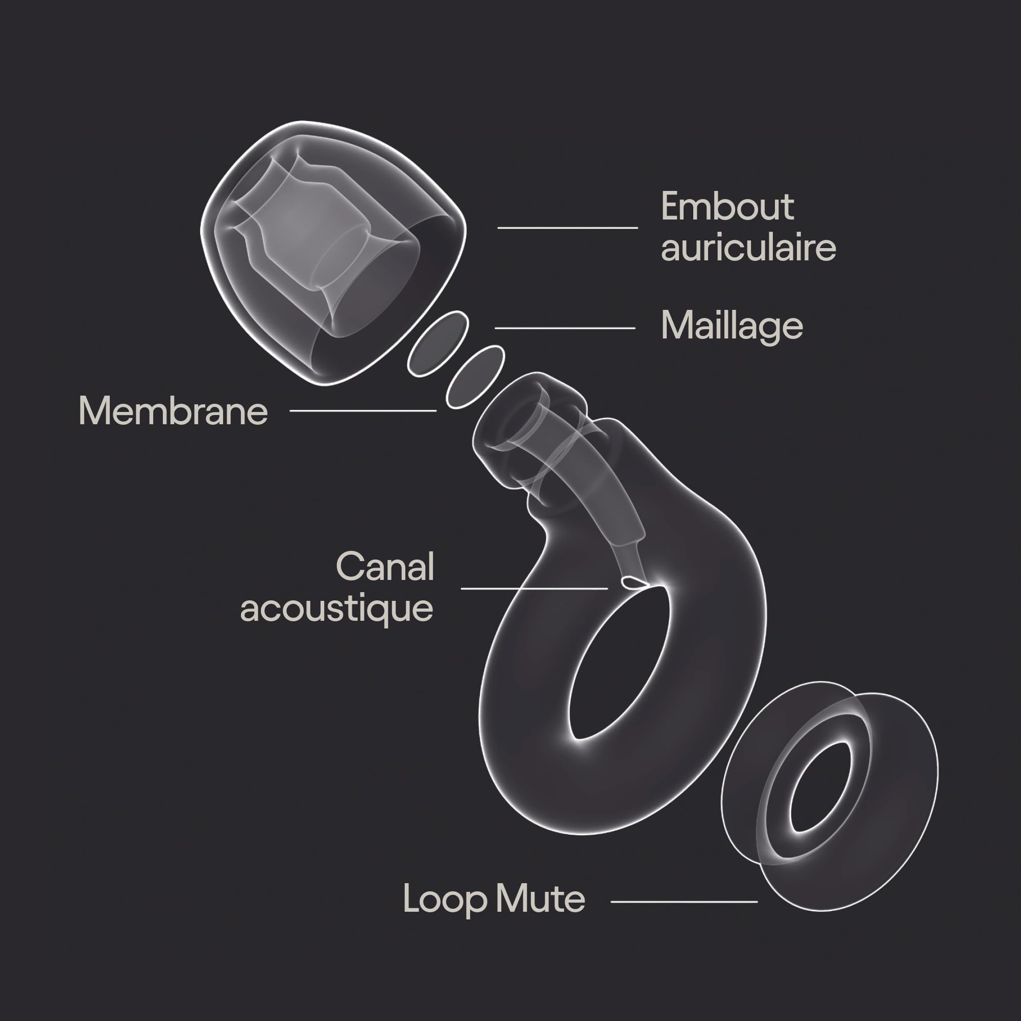 Loop Experience 2 Plus Bouchons d’oreille Protection auditive certifiée 17 dB Haute Fidélité + Mute