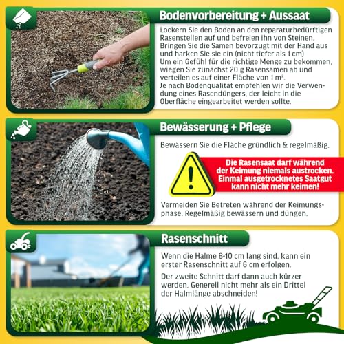 Heimwert Rasensamen schnellkeimend Turbo Nachsaat Grassamen schnellkeimend nach original RSM 3.2 Empfehlung aus hochwertigster Gräser Mischung - 1kg Sport und Spiel Rasen für 50 m2 - Made in Germany