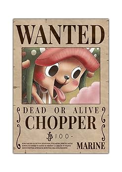 ワンピース　メタリックポスター $_57.JPG?set_id=8800005007