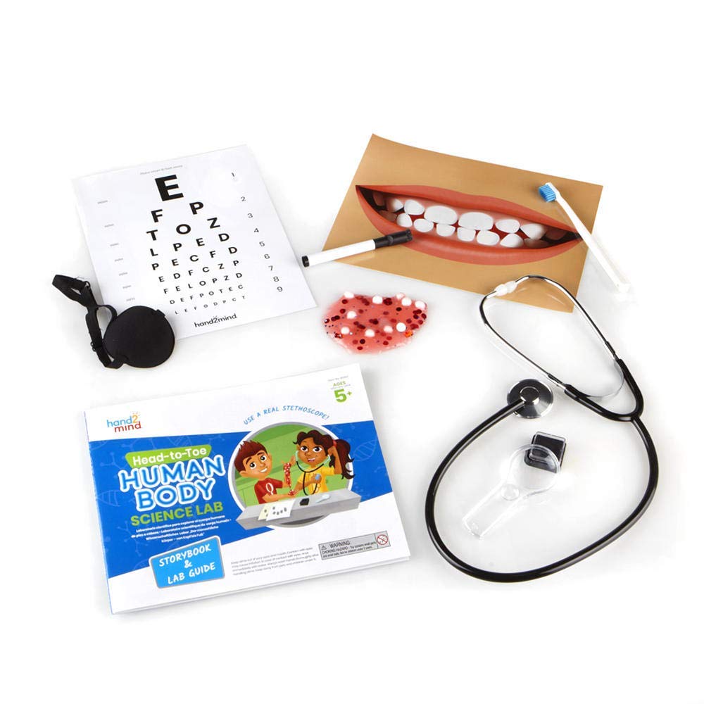 hand2mind Science Kit Head to Toe Human Body, STEM Activities for Kids Ages 5-7, STEM Toys, Slime Kit, Kids Storybook, Human Body for Kids, 10 at Home Science Experiments for Kids - Image 7