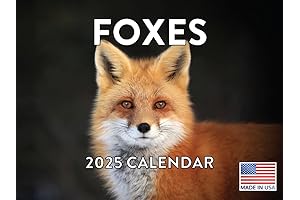 Fox Wall Calendar 2025: Adorn Your Space with the Enchanting Presence of Foxes