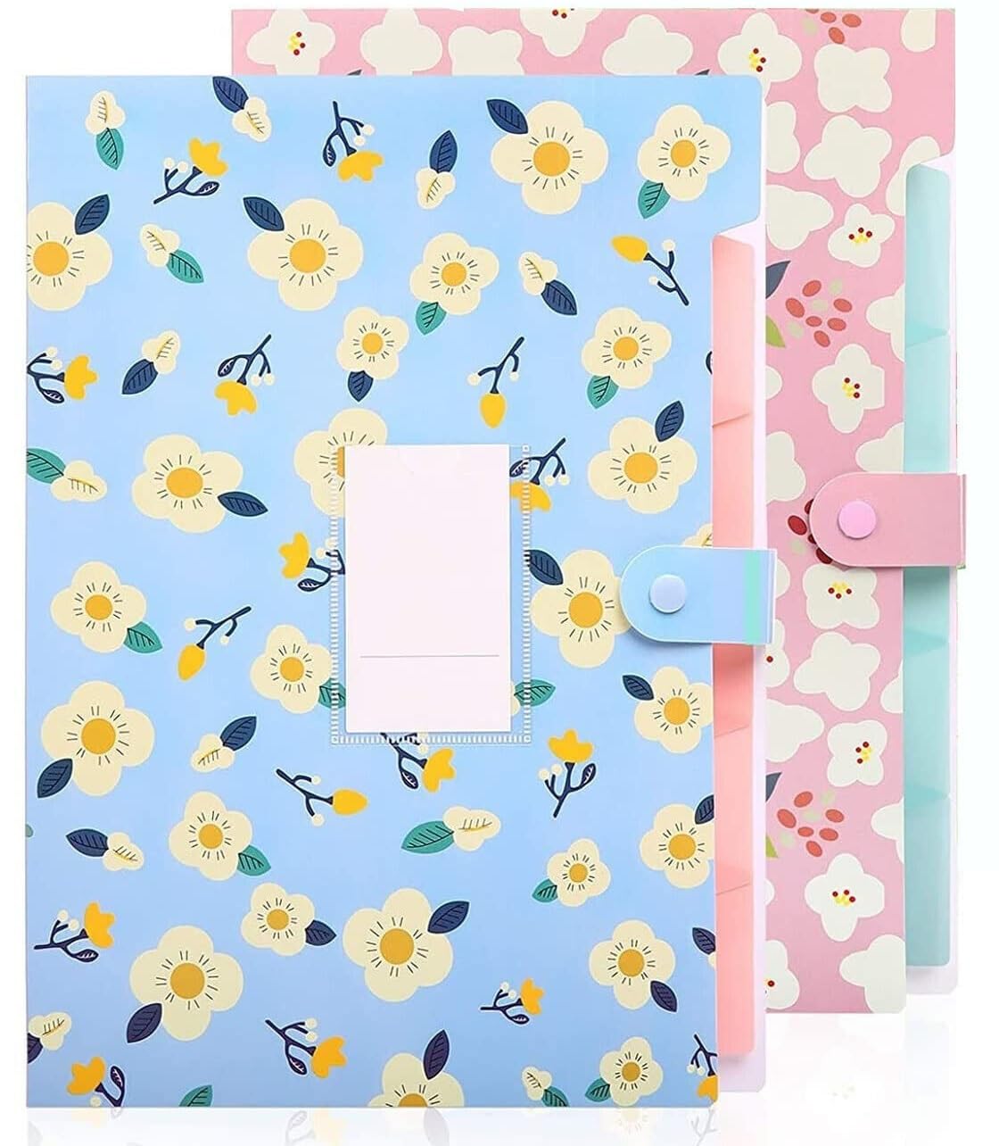 Corslet Certificate Expanding File Folders for Documents Large Size A4 Paper Holder Organizer School Office Home Multicolor with 5 Pockets (2-Pack)