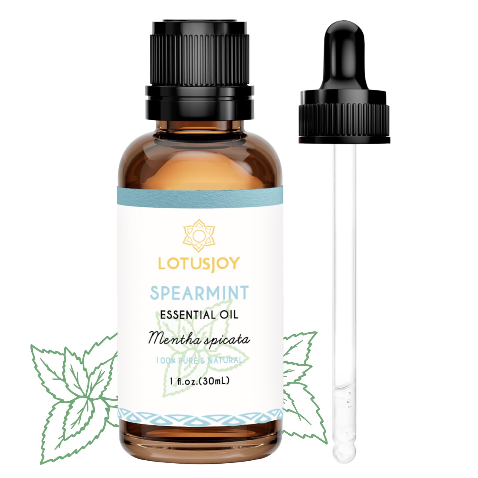 香水(女性用) Intuition Fragrant Hair Shimmer Amazon.com: Spearmint Oil for Facial Hair Skin Roll On Diffuser