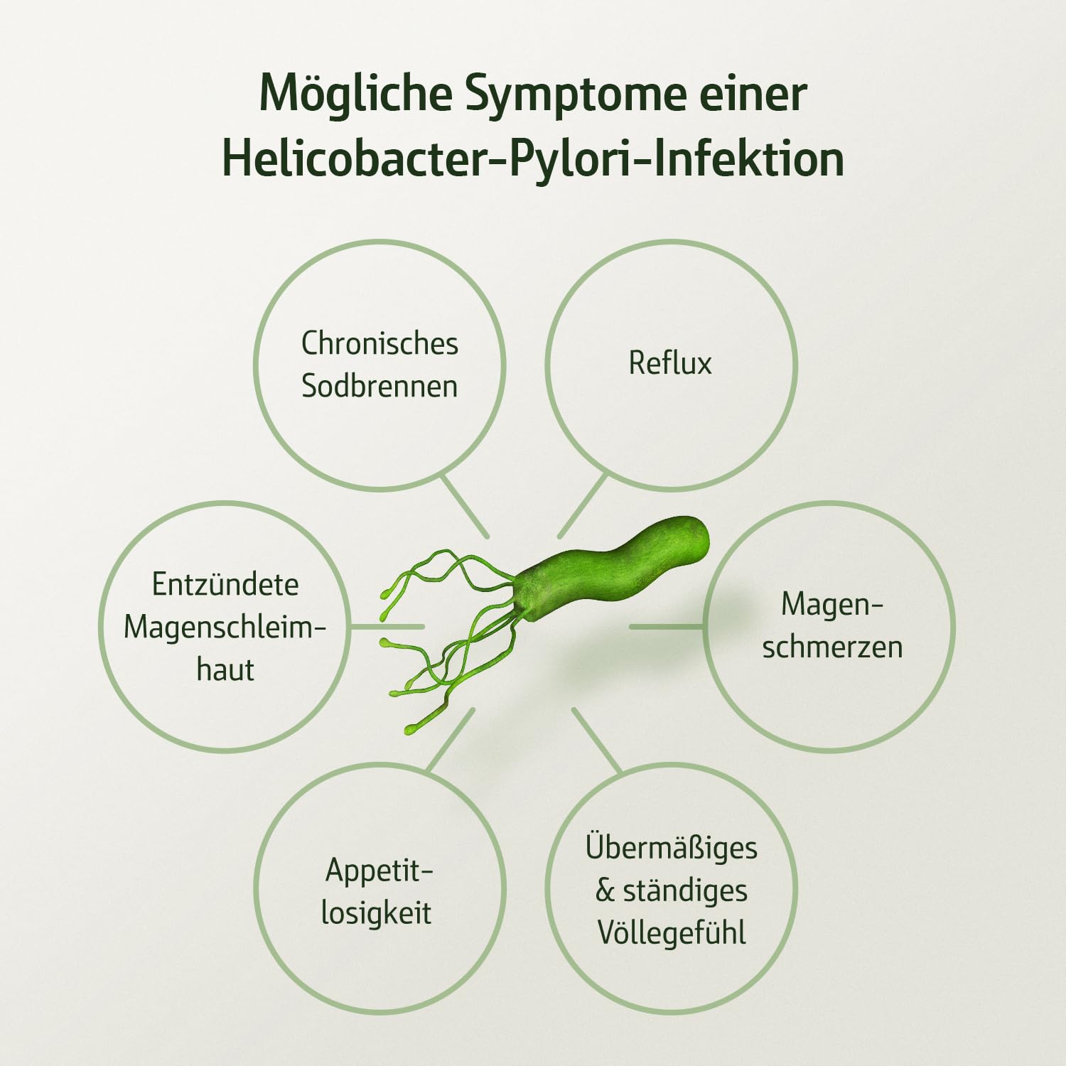 Effective Nature - Combi Flora AntiPylori mit Pylopass, hochdosiert 400 mg