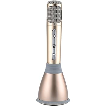sing wireless microphone speaker