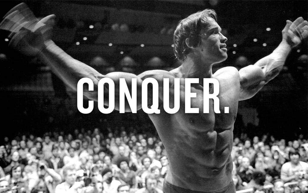 bribase shop Arnold Schwarzenegger Poster 40 inch x 24 inch / 21 inch x 13 inch