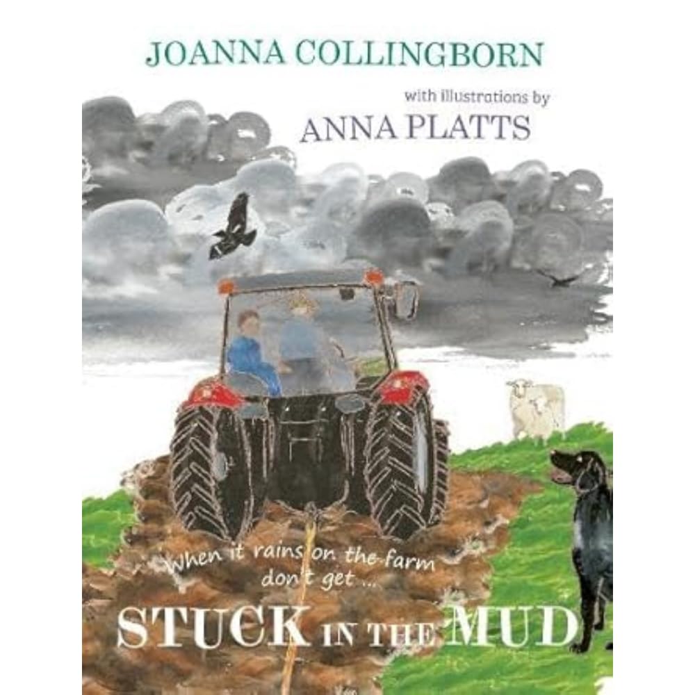 Stuck in the Mud: the brilliant award-winning adventure at Hillside Farm: 1