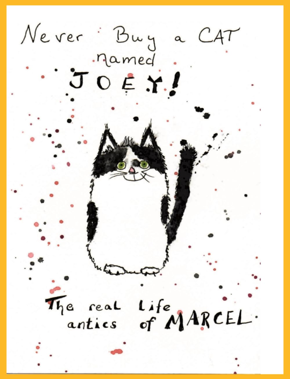 Never Buy a Cat Named Joey: The real life antics of Marcel.