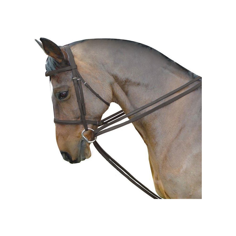 Kincade Leather Draw Reins Set