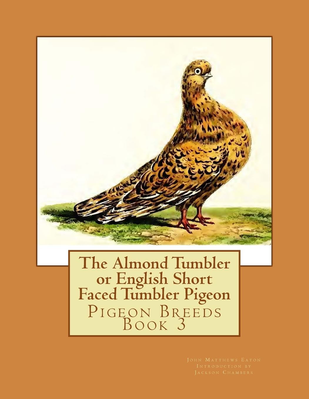 The Almond Tumbler or English Short Faced Tumbler Pigeon: Pigeon Breeds Book 3: Volume 3