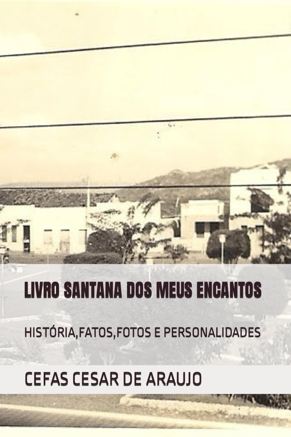 LIVRO SANTANA DOS MEUS ENCANTOS: HISTÓRIA,FATOS,FOTOS E PERSONALIDADES (Portuguese Edition)