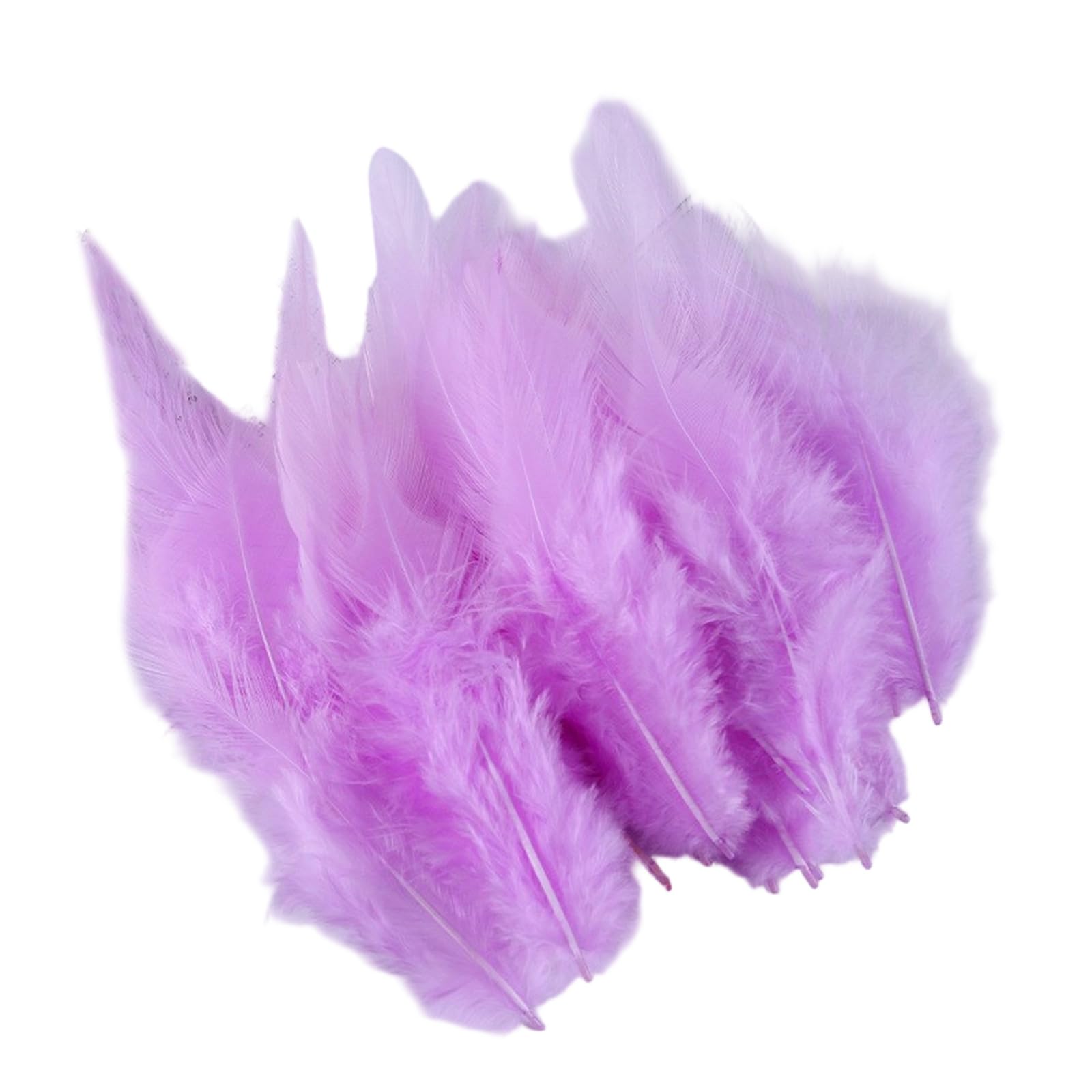 Shurhome 100PCS Rainbow Plumage for Creation Beautiful Accent for Costumes Bags and Special Occasions Quills for Crafting