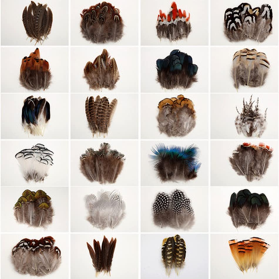 20/100 sztuk DIY Plume Party Pióra Bażant Rzemiosło Włosy Kolorowe Pióra Naturalne Biżuteria Białe Pióra Dekoracje Ślubne 3 do 3-7