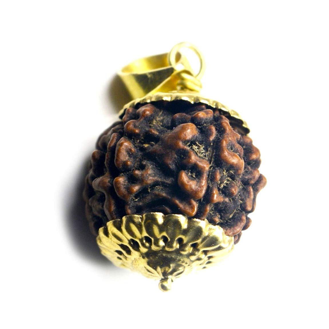 Pendentif Rudraksha 5 Mukhi idéal pour la méditation quotidienne