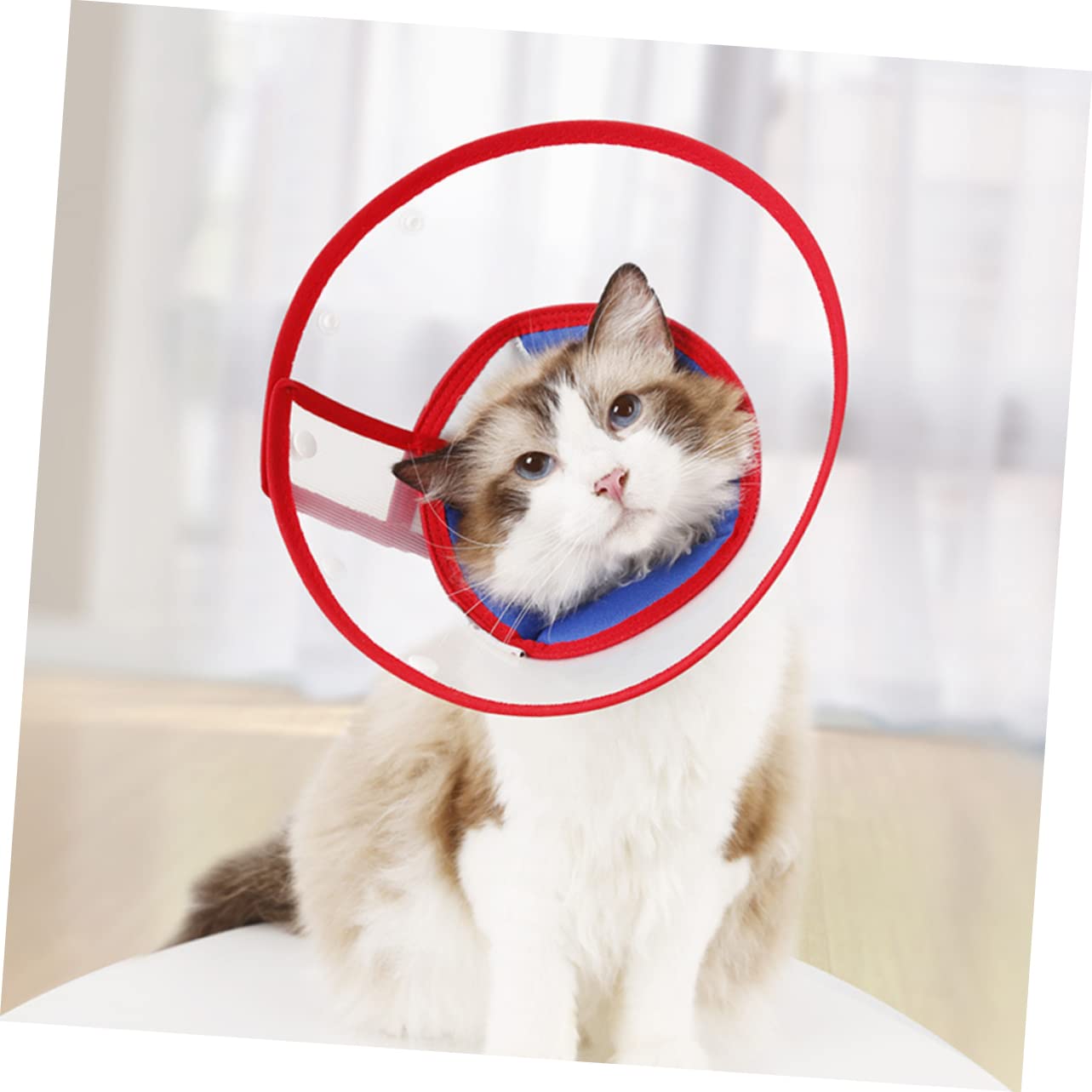 minkissy 2pezzi Collare di Regolabile per Cani Elisabettiano Trasparente Comfort Brevettato Facile da Indossare Protezione Post-operatoria per Animali Domestici