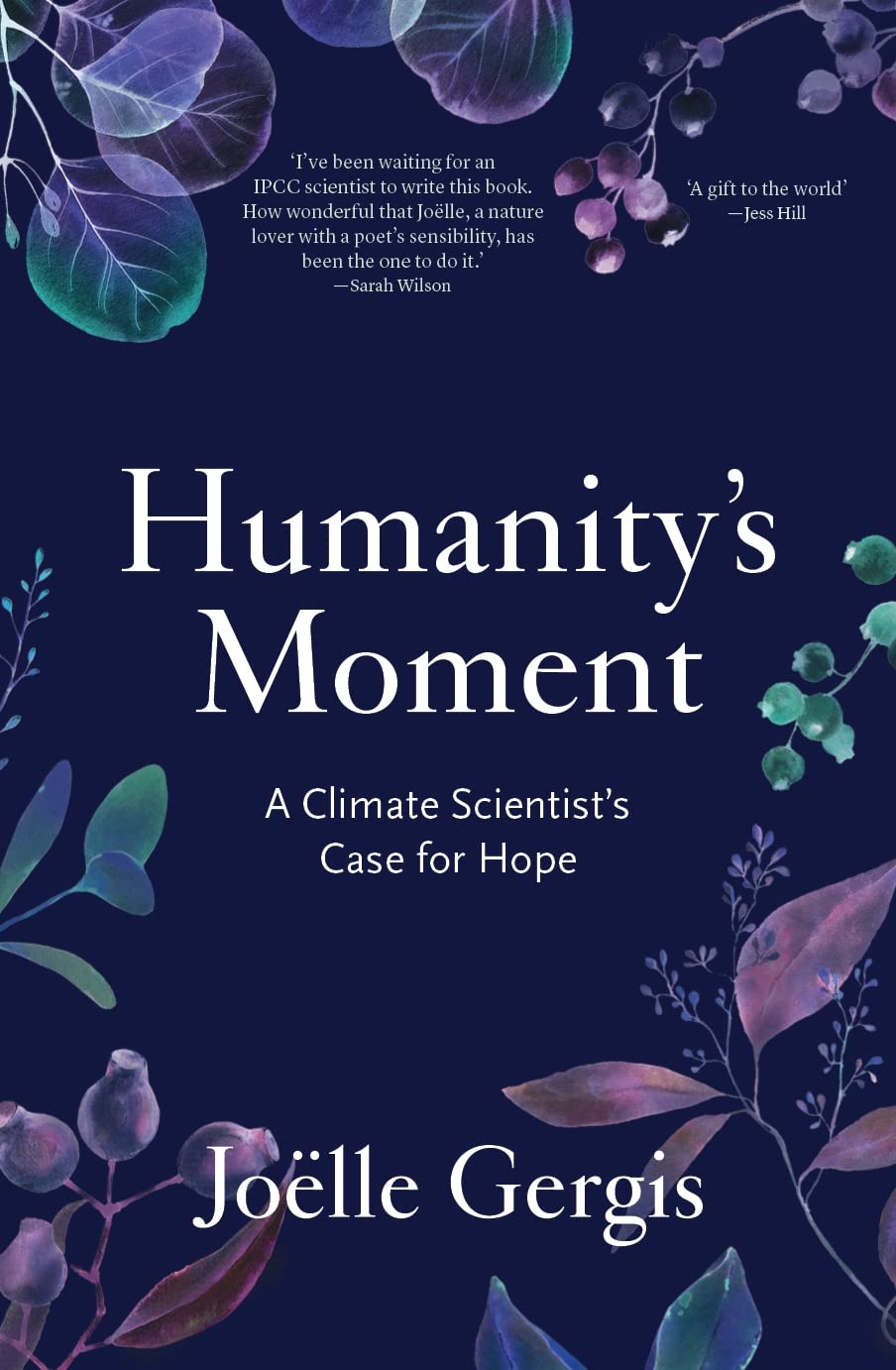 Buy Humanity's Moment: A Climate Scientist's Case for Hope — BookShops.in