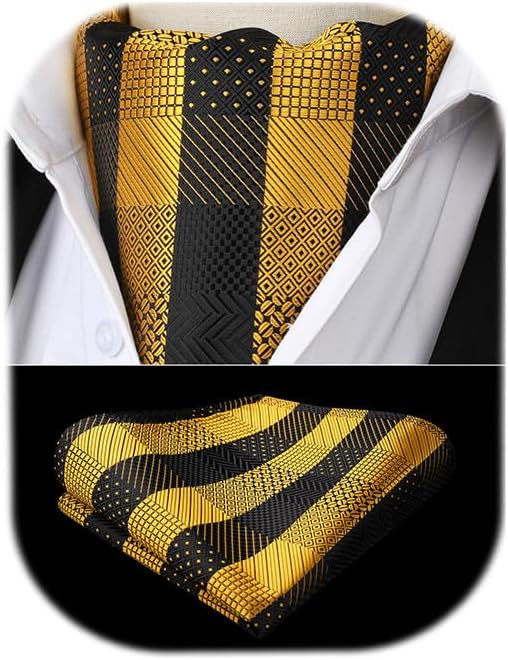 HISDERN Ascot Ties for Men Paisley Cravat Tie and Pocket Square Set Floral Mens Ascot Scarf Handkerchief Wedding Party