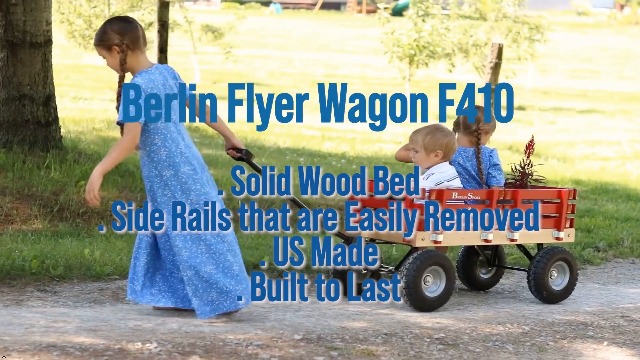 Amazon.com: Berlin Flyer Sport Wagon Model F410, Red | Perfect for