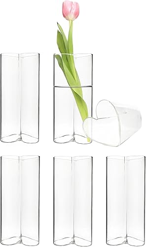 Miniatura 4 de CYS EXCEL Juego de 6 jarrones de cristal pequeños, pequeños jarrones de flores transparentes para centros de mesa de boda, decoración de mesa,