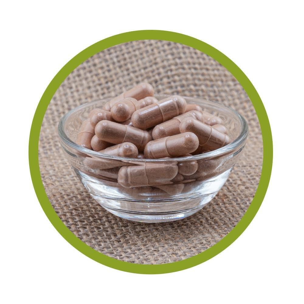 OPC Pycnogenol® (Pinienrindenextrakt) - mit Vitamin C aus der Acerolakirsche - 60 vegane Kapseln - Premium: Französische Meeresseekiefer