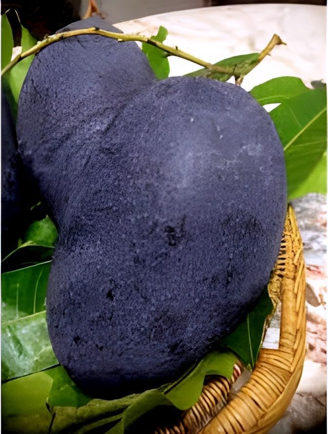 Image of Original Hybrid Mango inchBLACK STONE inch Grafted Live Plant For Home and Garden tree Pack of 1Healthy Plant & Fresh Most Expensive Variety Size 1.5 to 2 feet