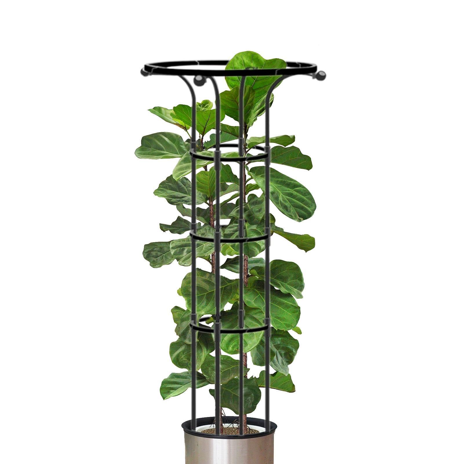 Set 2 Supporti A Traliccio Per Piante Rampicanti Decorazione Giardino In Metallo Color Crema - Foto 9