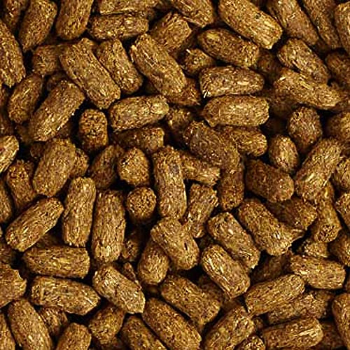 Image of Mazuri Tortoise Diet, 12 oz.