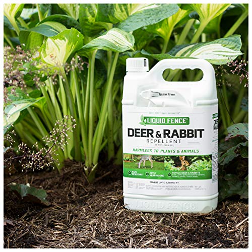 Liquid Fence Deer & Rabbit Repellent Ready-To-Use, 1-Gallon, 4-Pack