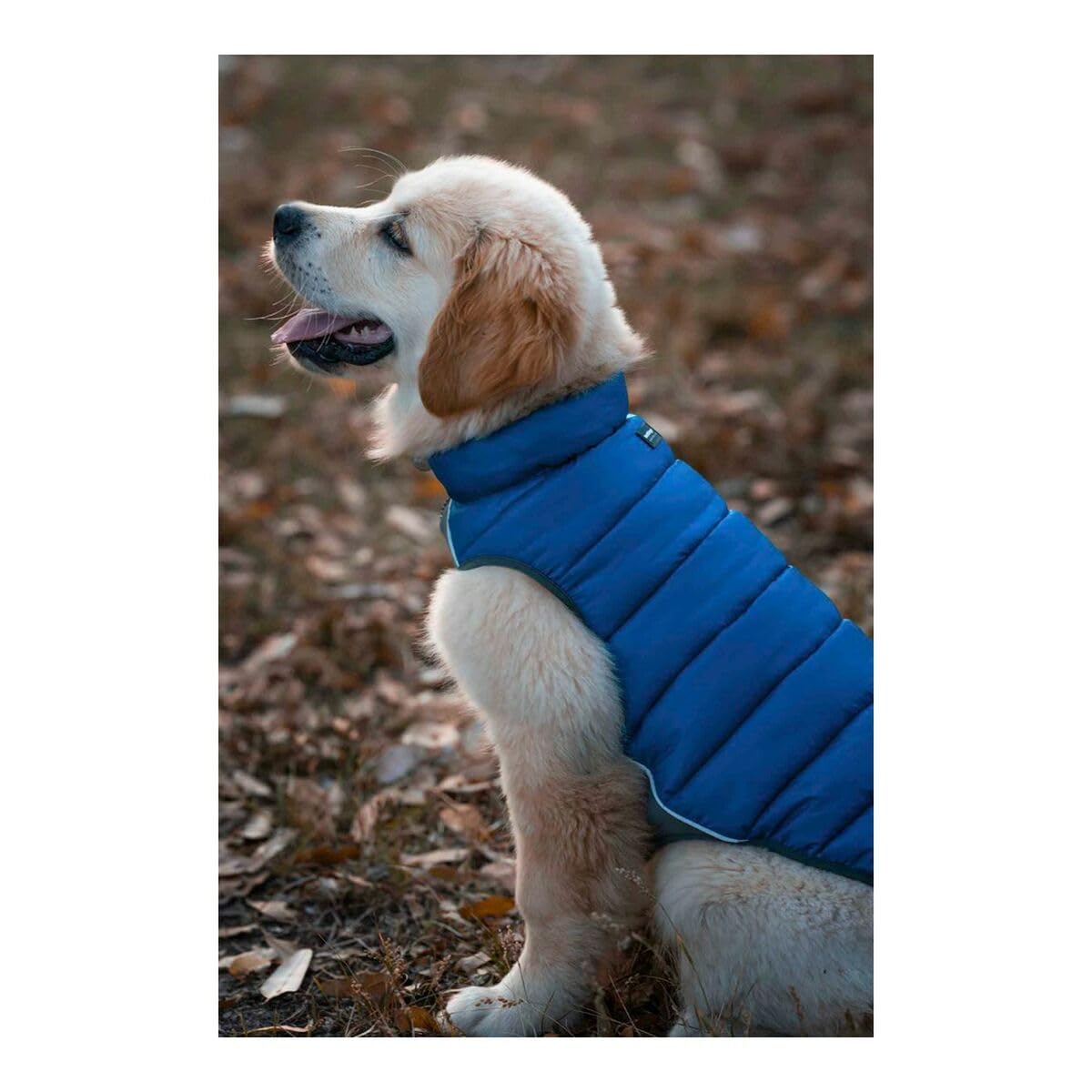 RED DINGO Abrigos y Chaquetas para Perros Abrigo Reversible Puffer Jachet