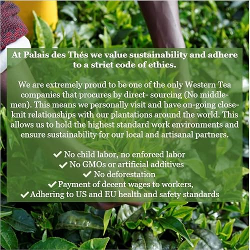 Palais des Th&eacute;s - Holiday Garden Herbal Tea N&deg;25 - Premium Gourmet Organic Herbal Tea with fruits & spices - 20 Count Cotton Tea Bags Box - Serves 20 cups